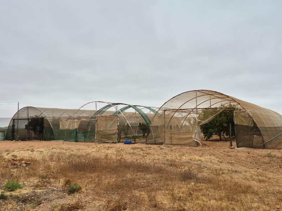 4 Bedroom Property for Sale in Vredendal Rural Western Cape